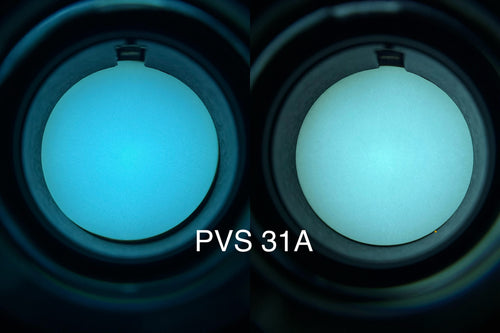 PVS 31A
